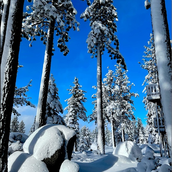 Meet your Posher, Stephanie - Picture 1 of 1